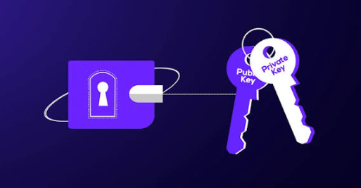 What Is a Crypto Public Key?